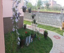 Apartamenty Mirjana apartman